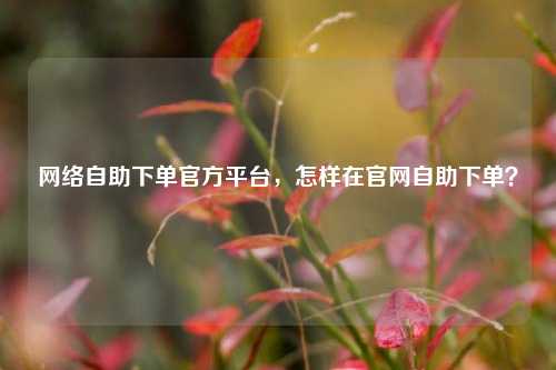 网络自助下单官方平台，怎样在官网自助下单？