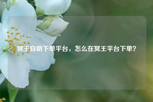 冥王自助下单平台，怎么在冥王平台下单？