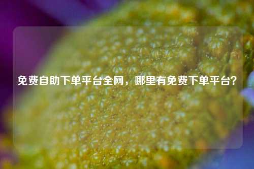 免费自助下单平台全网，哪里有免费下单平台？
