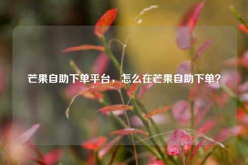 芒果自助下单平台，怎么在芒果自助下单？