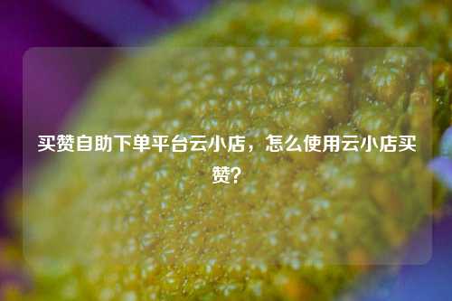 买赞自助下单平台云小店，怎么使用云小店买赞？