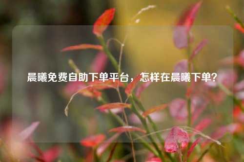 晨曦免费自助下单平台，怎样在晨曦下单？