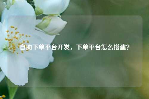 自助下单平台开发，下单平台怎么搭建？