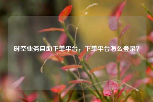时空业务自助下单平台，下单平台怎么登录？