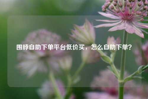 围脖自助下单平台低价买，怎么自助下单？