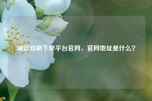 诚信自助下单平台官网，官网地址是什么？