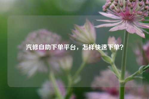汽修自助下单平台，怎样快速下单？