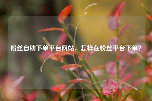 粉丝自助下单平台网站，怎样在粉丝平台下单？