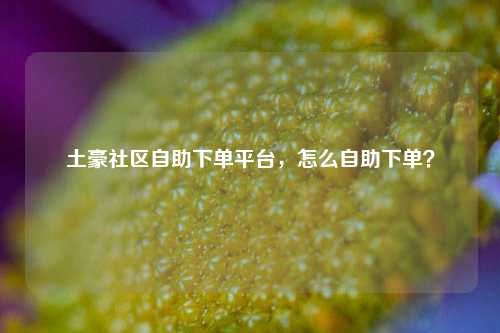 土豪社区自助下单平台，怎么自助下单？
