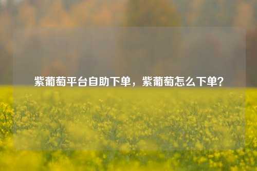 紫葡萄平台自助下单，紫葡萄怎么下单？