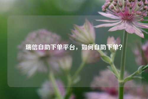 瑞信自助下单平台，如何自助下单？