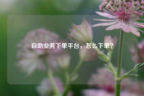 自助业务下单平台，怎么下单？