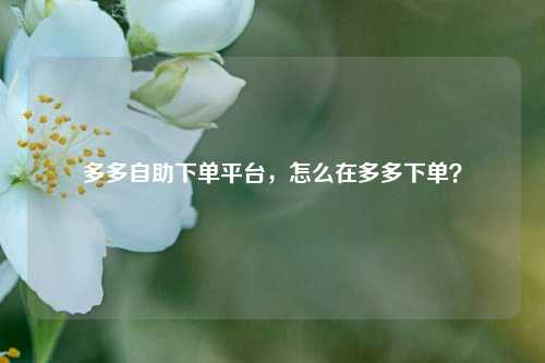 多多自助下单平台，怎么在多多下单？